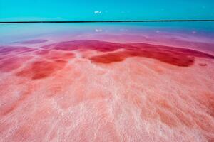 Розовое озеро попало в пятерку запросов среди природных парков и заповедных зон