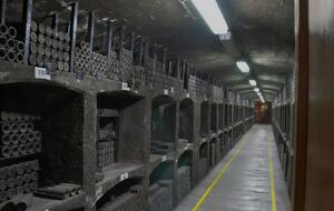 "Масандра" була в державній власності України, після анексії Криму її передали в користування управлінню справами президента РФ
