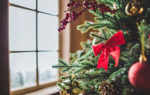 Тематика празднования Нового года – 2021 в Киеве – "Сказочный лес", говорят организаторы