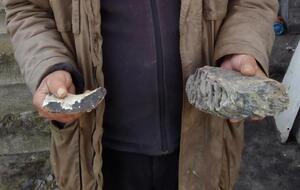 Местный житель нашел зуб мамонта в мелиоративном канале