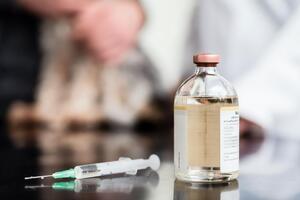 За інформацією ВООЗ, у світі 155 компаній проводять доклінічні випробування вакцин проти COVID-19