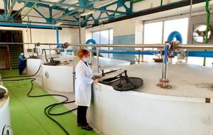 "Укрспирт" – крупнейший производитель спирта и спиртосодержащей продукции в Украине
