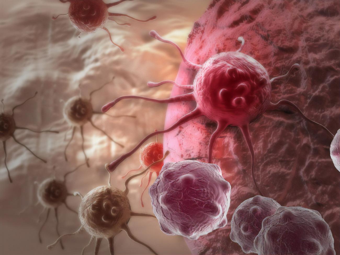 Новая вакцина против рака показала 90% эффективности на животных