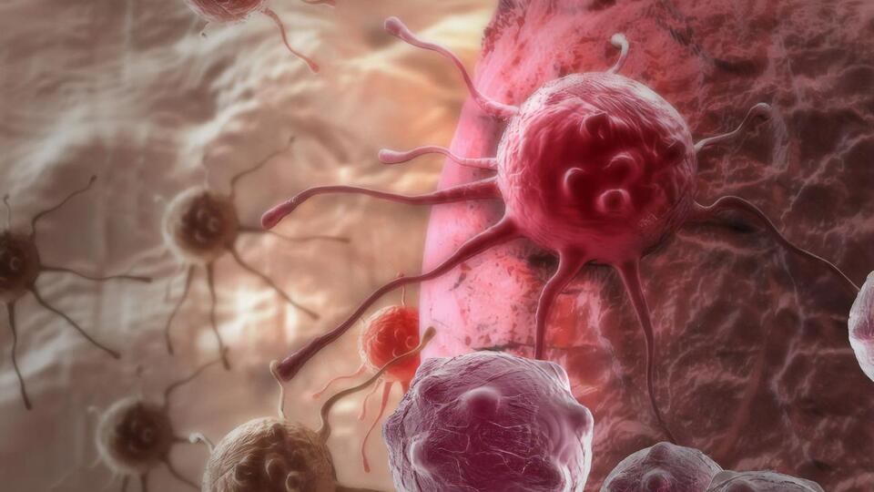 Новая вакцина против рака показала 90% эффективности на животных