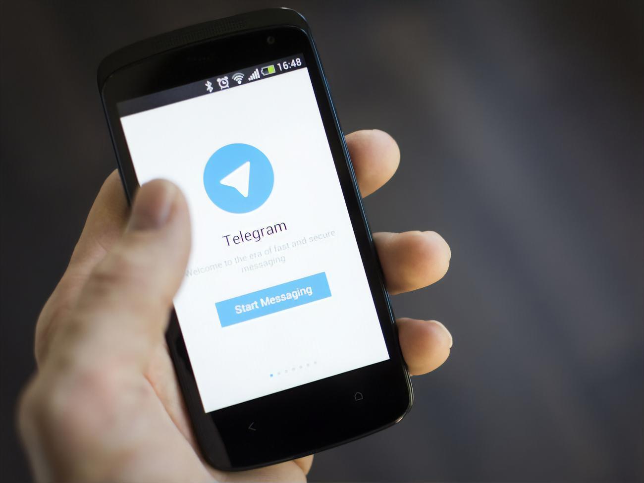 Чат-бот доступен в мессенджерах Telegram и Viber
