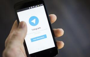 Чат-бот доступен в мессенджерах Telegram и Viber