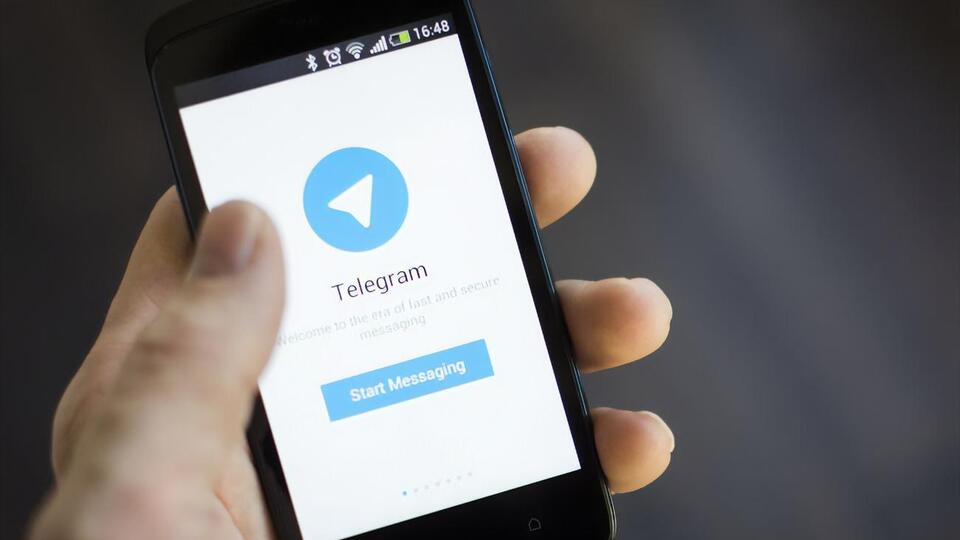 Чат-бот доступен в мессенджерах Telegram и Viber