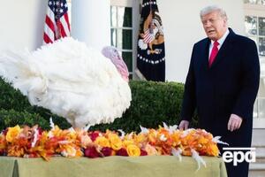 Трамп помилував двох індичок на День подяки. Фоторепортаж