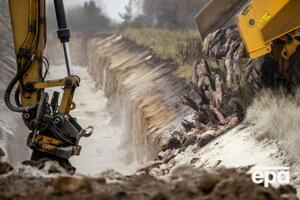 Знищувати норок у Данії почали в жовтні