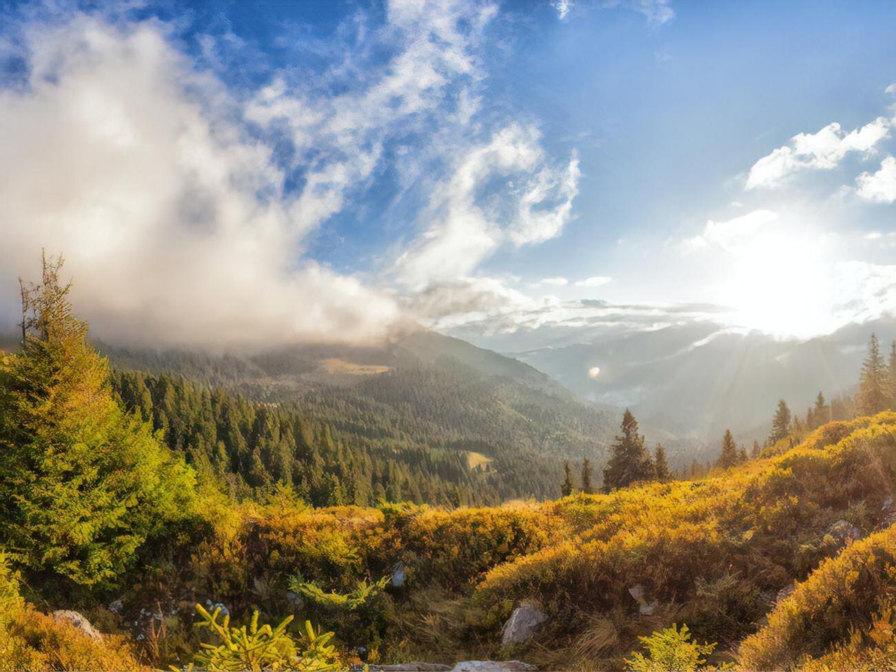 В ООН призвали Украину участвовать в "Десятилетии восстановления экосистем" для спасения Карпат