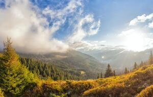 В ООН призвали Украину участвовать в "Десятилетии восстановления экосистем" для спасения Карпат