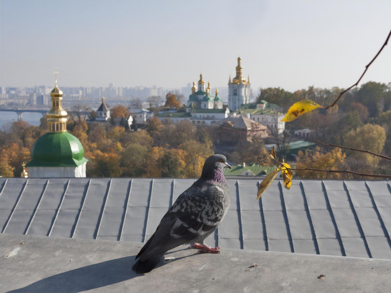 Показатель загрязненности&nbsp;воздуха в Киеве составляет 140 при норме до 50
