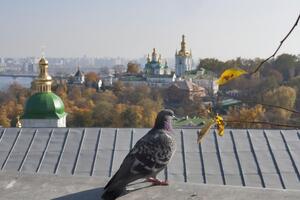 Показник забрудненості повітря в Києві становить 140 за норми до 50