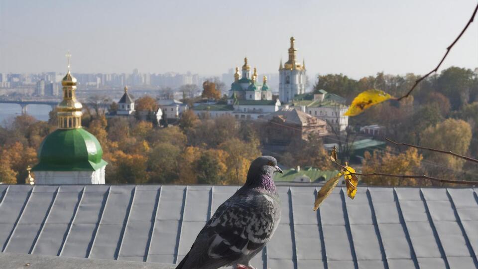 Показник забрудненості повітря в Києві становить 140 за норми до 50