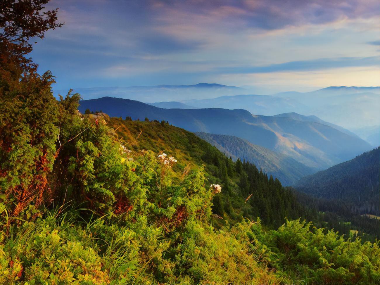 Національний природний парк створюють&nbsp;у Львівській області