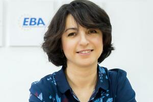 Анна Деревянко: Теперь важно реализовать и должным образом имплементировать все наработки