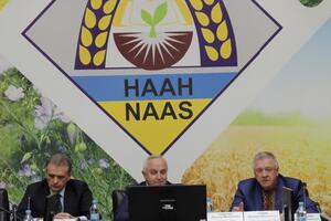 Академией руководит Гадзало (на фото в центре)