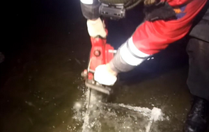 В общей сложности удалось спасти 40 черепах