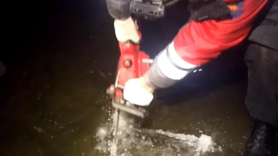 В общей сложности удалось спасти 40 черепах