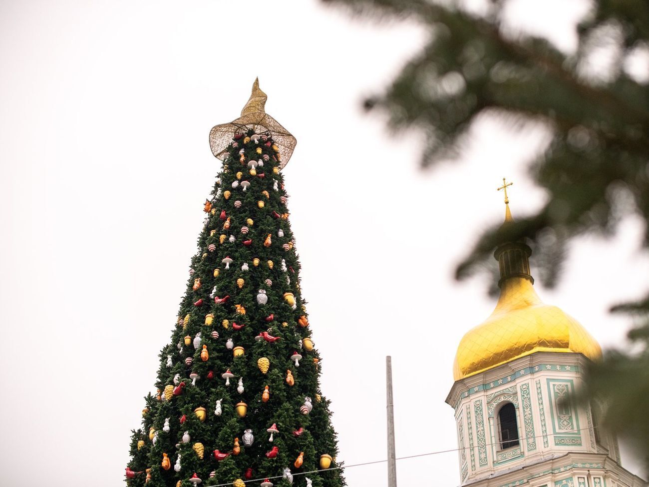 Высота главной елки страны &ndash; 31 метр