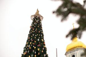 За задумом авторів, капелюх на ялинці має "зігрівати" казкових тварин, які її прикрашають