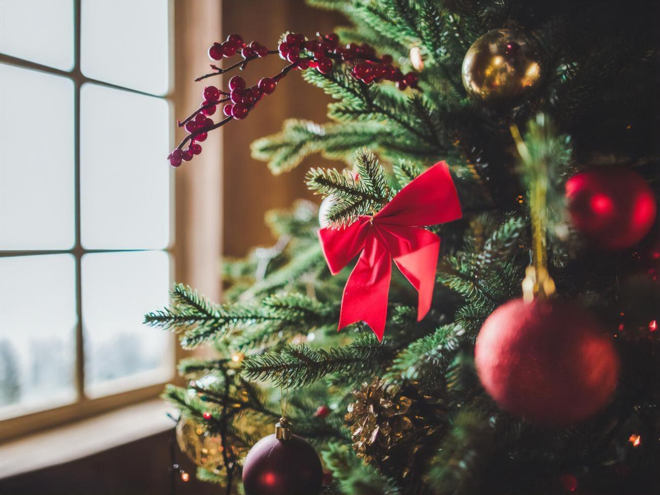 В мэрии Киева призвали покупать елки только на официальных ярмарках