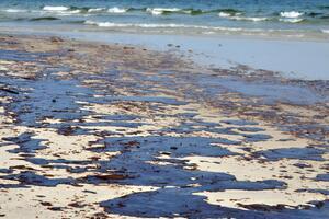 Пляма нафтопродуктів у Севастопольській бухті вкрила 85 тис. м²