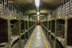 Організований російськими окупантами "аукціон" винного заводу тривав усього 12 хвилин