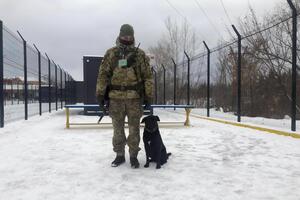 Сотрудники ГПСУ с начала года вынесли 7800 запретов на въезд иностранцам по разным причинам