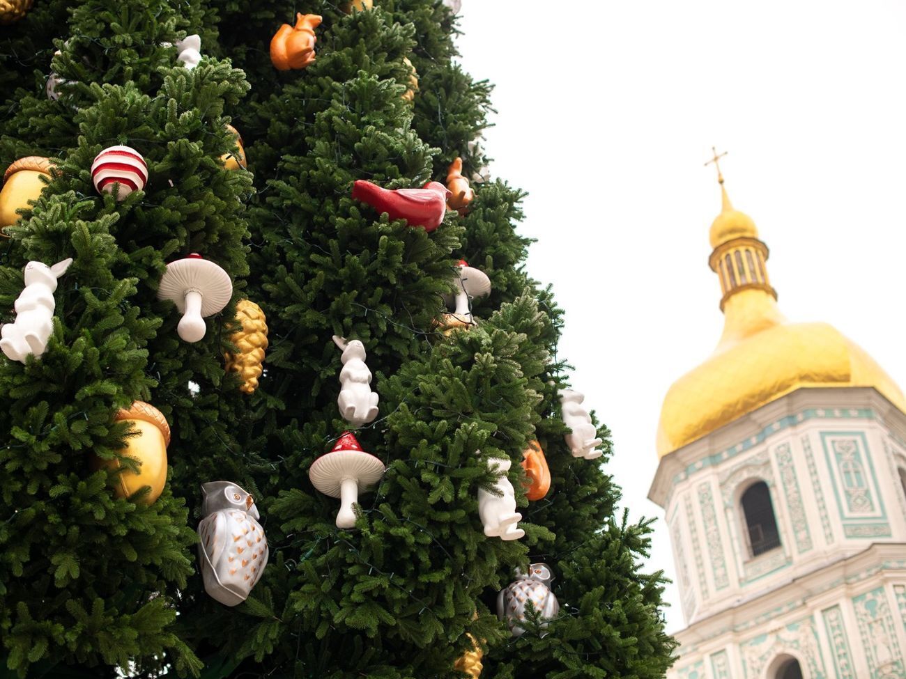 Елку откроют 19 декабря, сообщали в КГГА