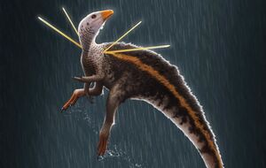 Новый вид динозавра называется Ubirajara jubatus