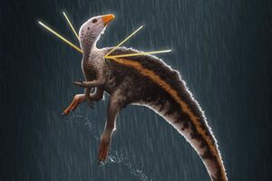 Новый вид динозавра называется Ubirajara jubatus