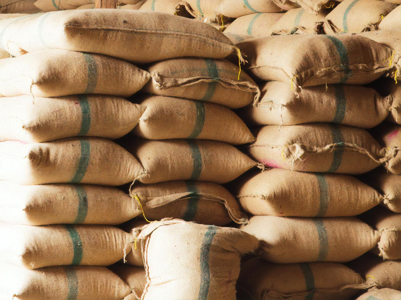 В системе Госрезерва&nbsp;&ndash;&nbsp;37 государственных предприятий