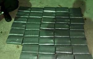 В 2020 году в морских портах Одесской области выявили более 500 кг кокаина