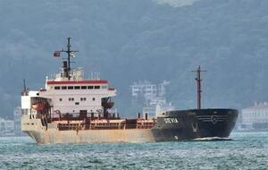 Судно ходит под флагом Камеруна