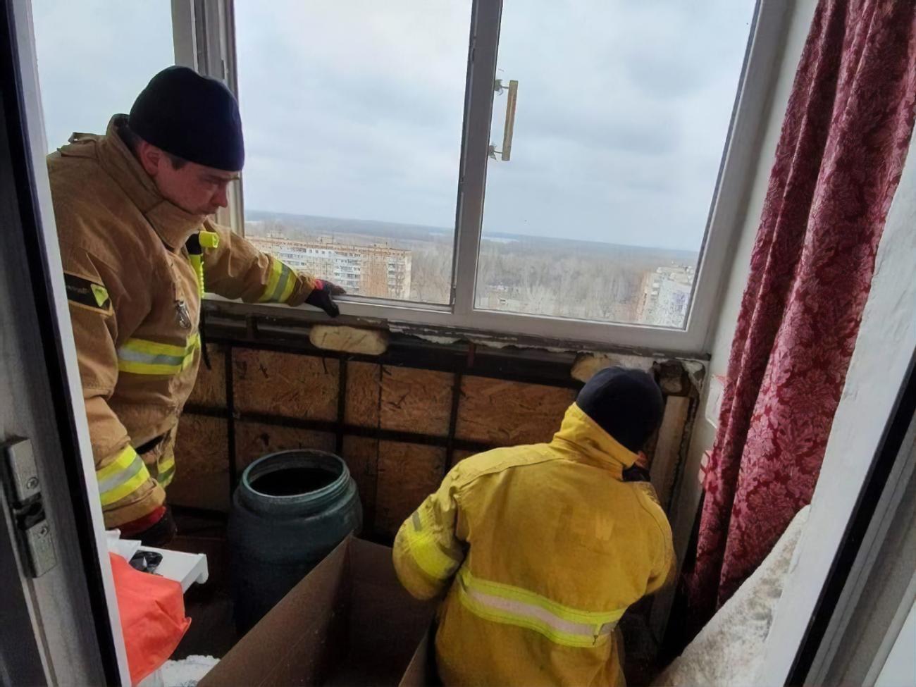 Рукокрылых сложили в картонные коробки с отверстиями, чтобы животные могли дышать