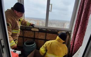 Рукокрылых сложили в картонные коробки с отверстиями, чтобы животные могли дышать