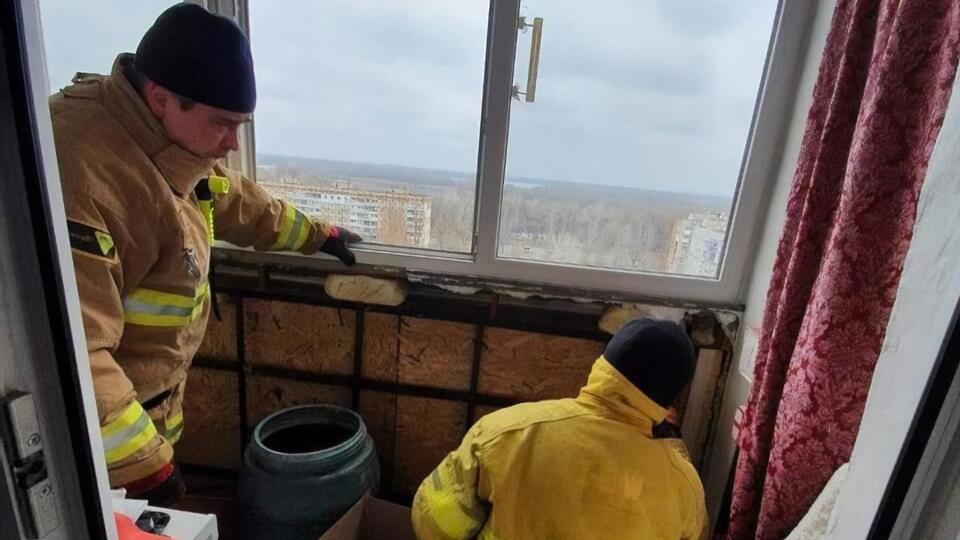 Рукокрилих склали в картонні коробки з отворами, щоб тварини могли дихати