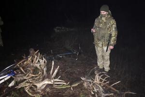 У нарушителей изъяли рога оленей, козлов и лосей