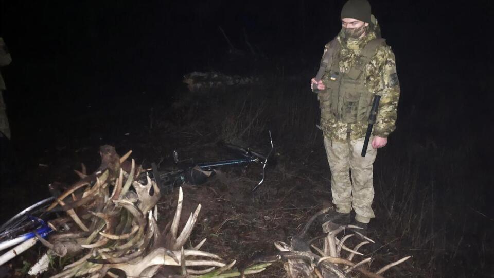 У порушників вилучили роги оленів, козлів і лосів