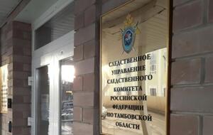 Дело расследуется по двум уголовным статьям
