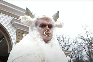 Беляков оделся белым быком