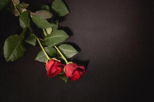 2020-й многим запомнится не только трагическими последствиями пандемии коронавируса, но и смертью многих знаковых людей