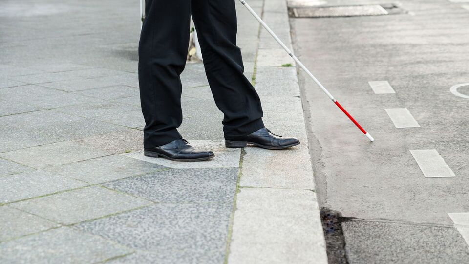 В Украинском обществе слепых отреагировали на слова Голобуцкого