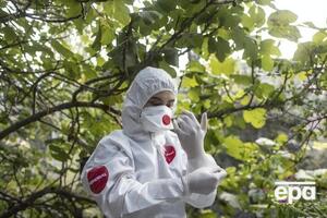 В Турции коронавирусом заразилось более 700 тыс. человек
