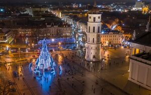 Оригинальную вильнюсскую елку признали лучшей в Европе