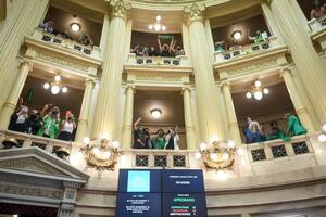 Одна із сенаторок назвала день ухвалення закону про аборти історичним