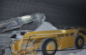 Соляные шахты – основной драгоценный актив предприятия, пишет автор