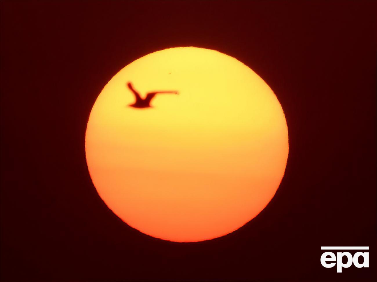 Національна сонячна обсерваторія США опублікувала детальне зображення плями на Сонці