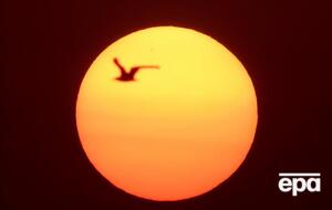 Національна сонячна обсерваторія США опублікувала детальне зображення плями на Сонці